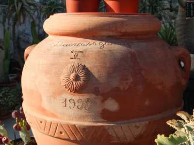 �L�attivit� nacque nel 1999 in un locale in piazza Garibaldi di soli 90 metri quadri�, spiega Anna, indicandoci un vaso sul quale � riportata questa data 